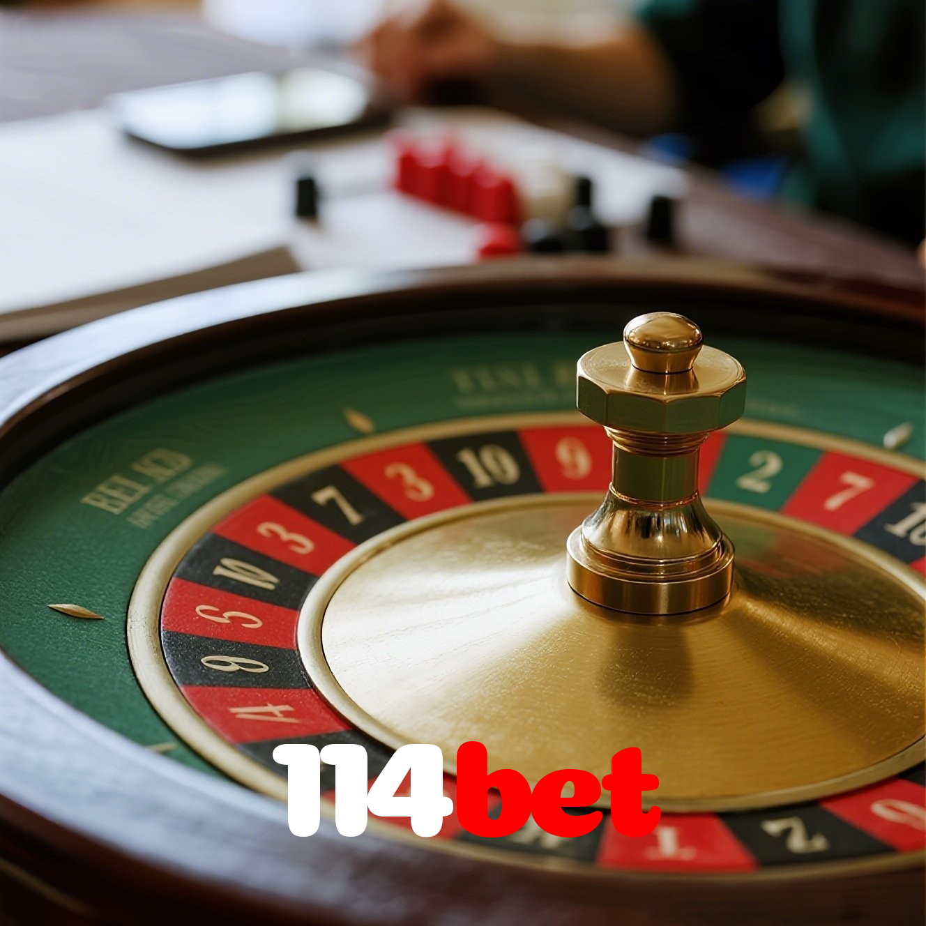Segurança no 114bet